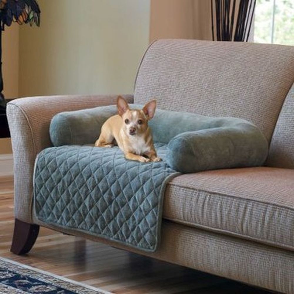 Diy dog outlet sofa bed