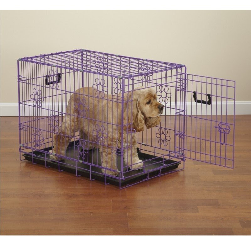 Purple dog crate 24