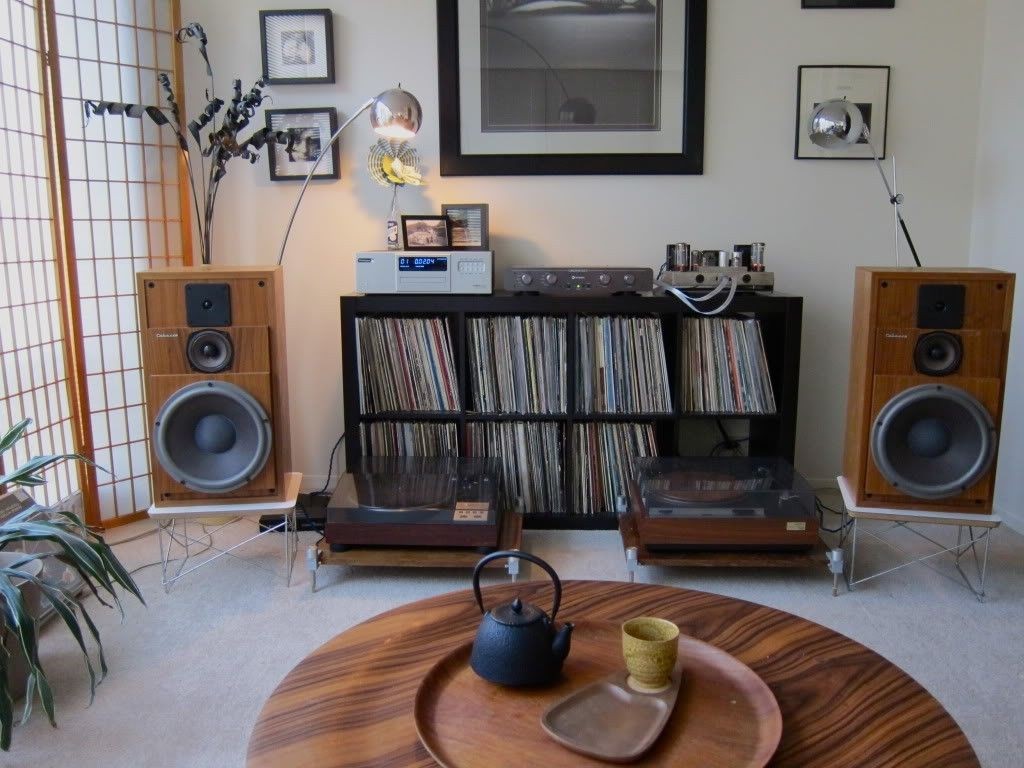 Stereo storage cabinet 1