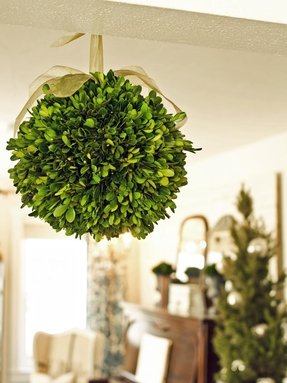 ball boxwood kissing christmas topiary hgtv mistletoe holiday decoration balls parsons marian beauty1 original preserved ribbon wreaths flower made indoor