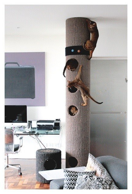 Cardboard box hot sale cat tree