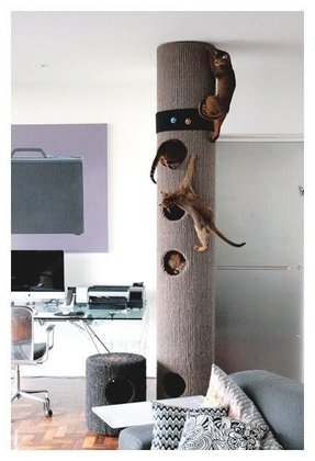 Cardboard Cat Tree - Foter