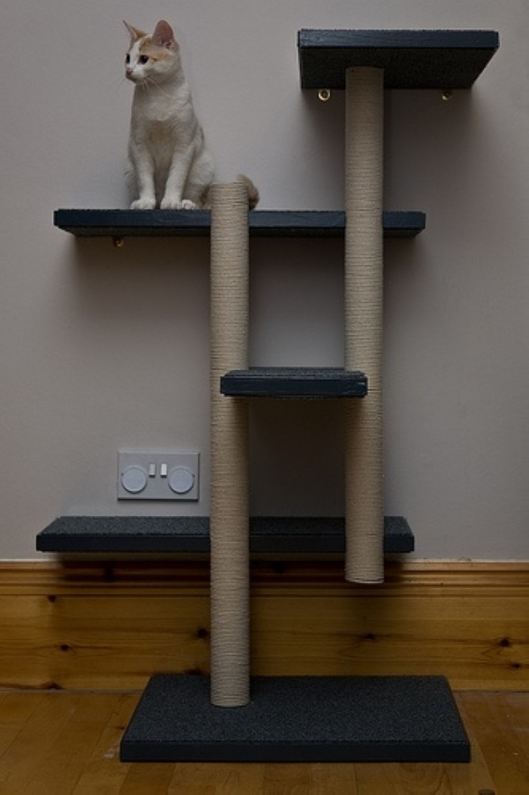 Cat climbing pole floor to ceiling