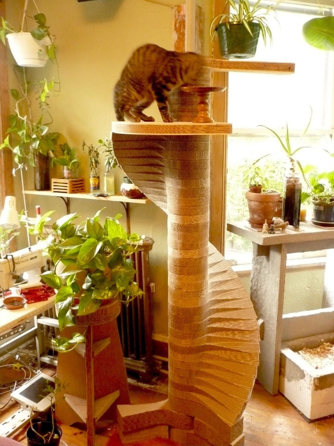 Diy Cat Tower Cardboard : How To Make Your Own Cat Tower Or Cat Tree ...