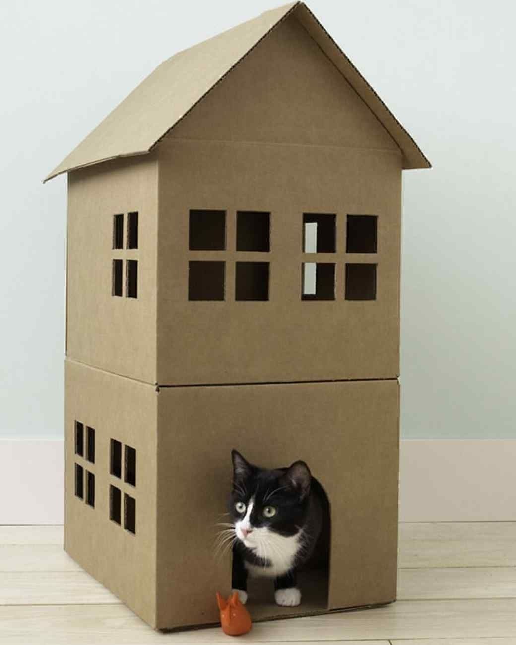Cat house out of cardboard