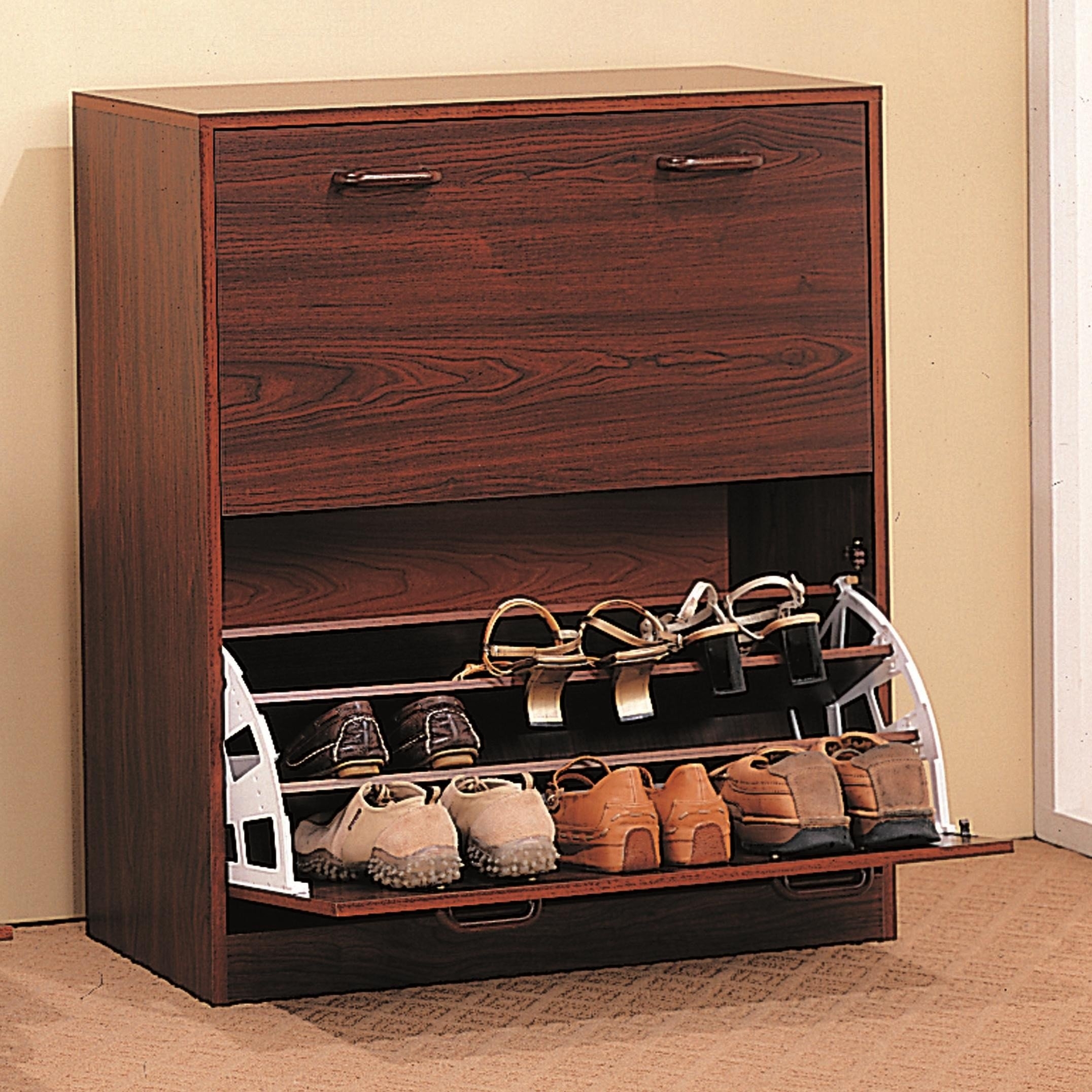 Small enclosed shoe rack sale