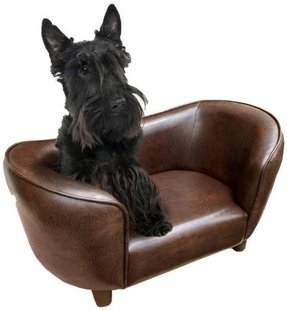 Leather Dog Bed - Foter