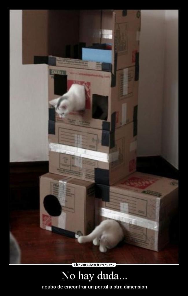 Cardboard Cat Tree - Foter