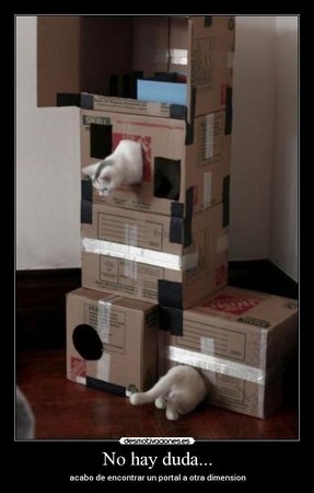 Cardboard Cat Tree - Ideas on Foter