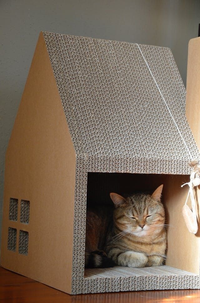 Cardboard cat house clearance ideas