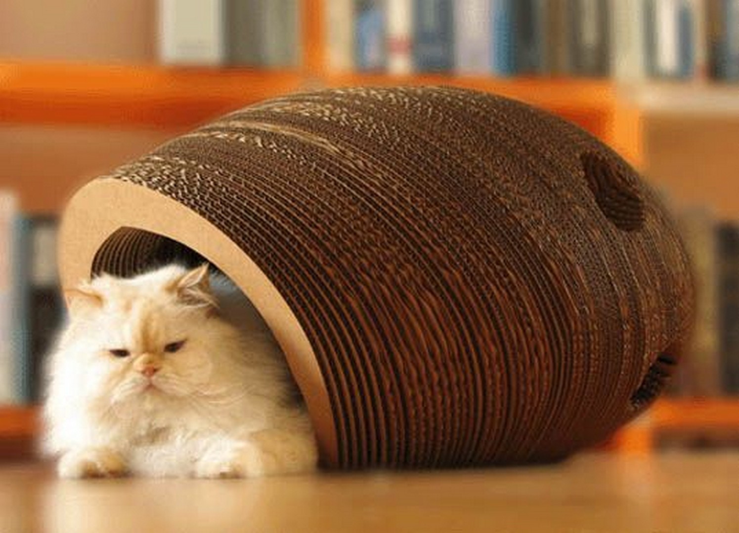 Cardboard cat furniture 7