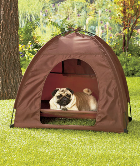 folding camping dog bed