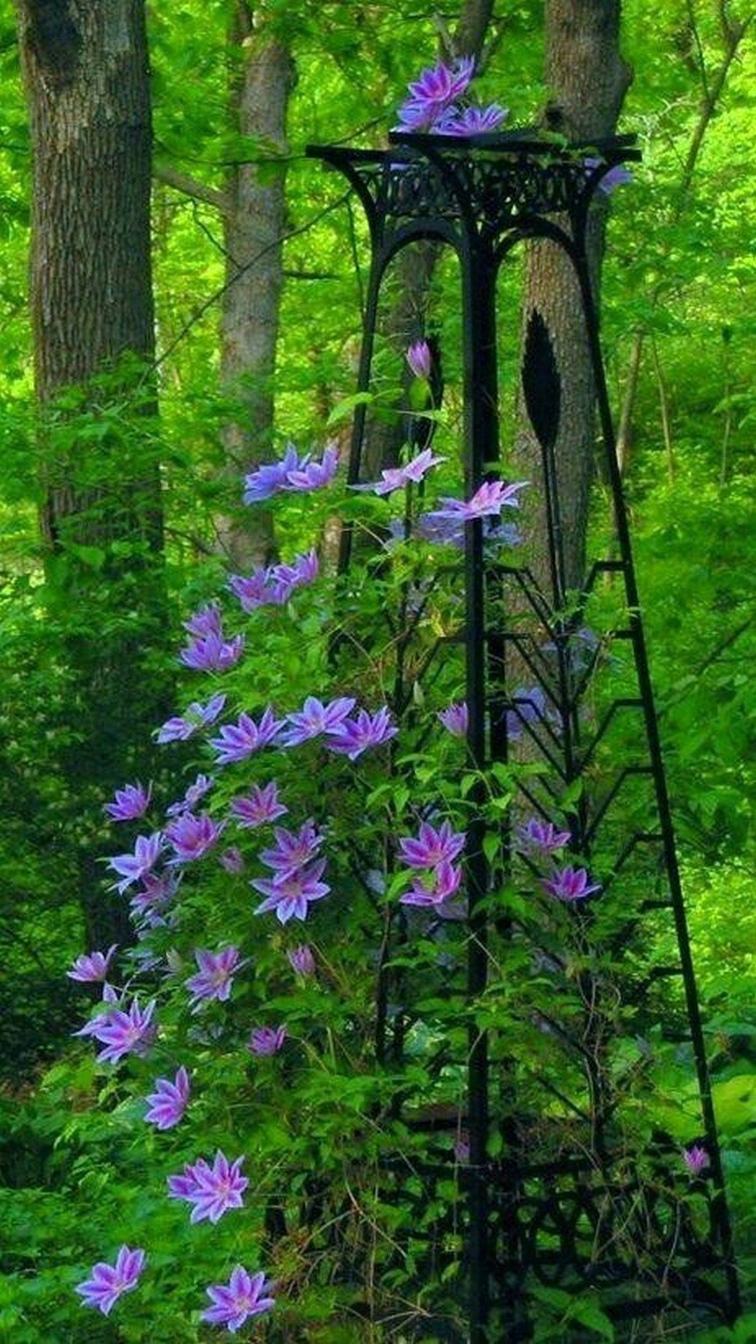 Garden wooden obelisk