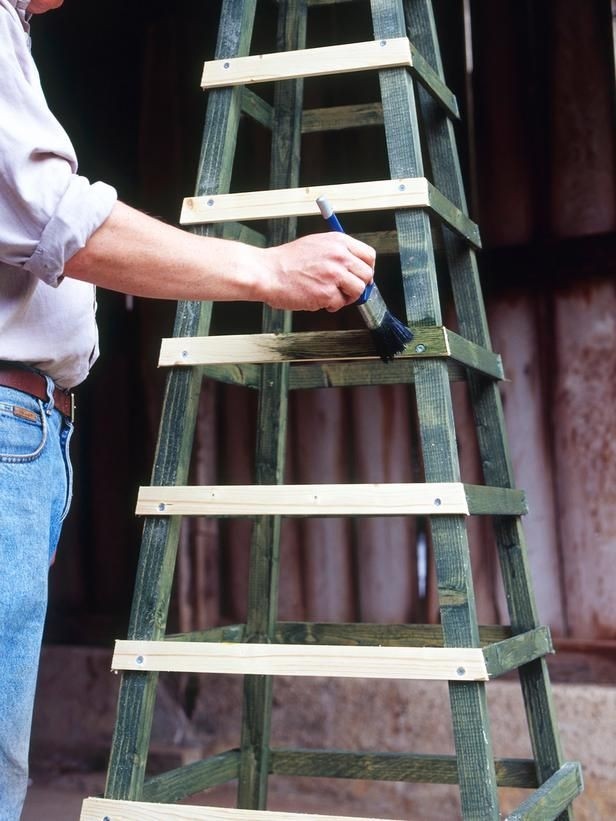 Garden Obelisk Trellis - Ideas on Foter