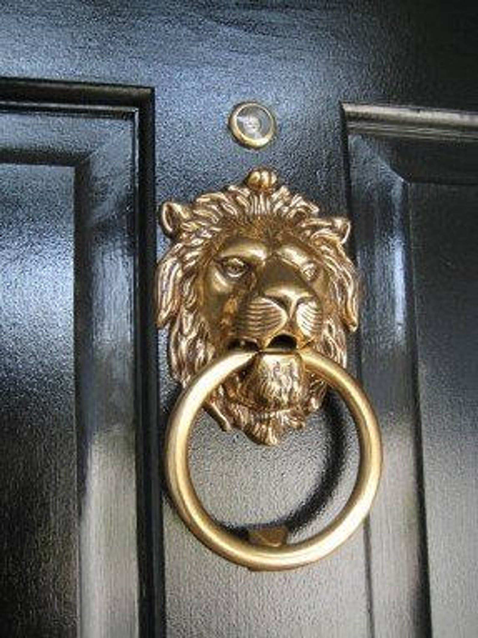 Brass Lion Head Door Knocker Ideas On Foter