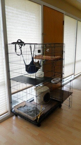 midwest collapsible cat playpen