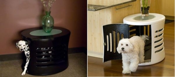 Cool dog furniture
