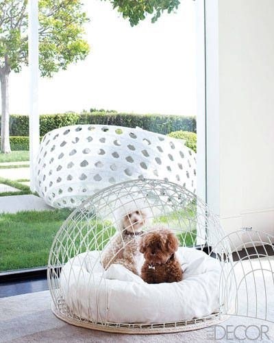 pretty dog cages