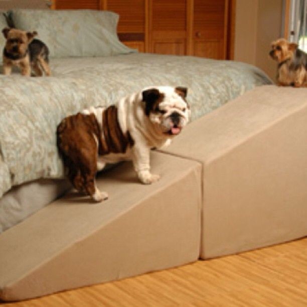 Pet stairs shop for big dogs