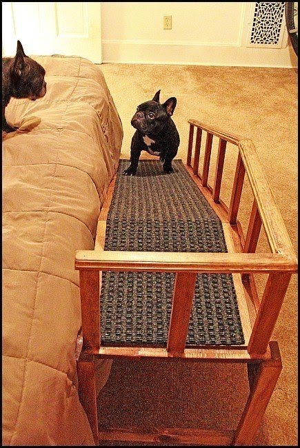 cheap dog ramp for bed