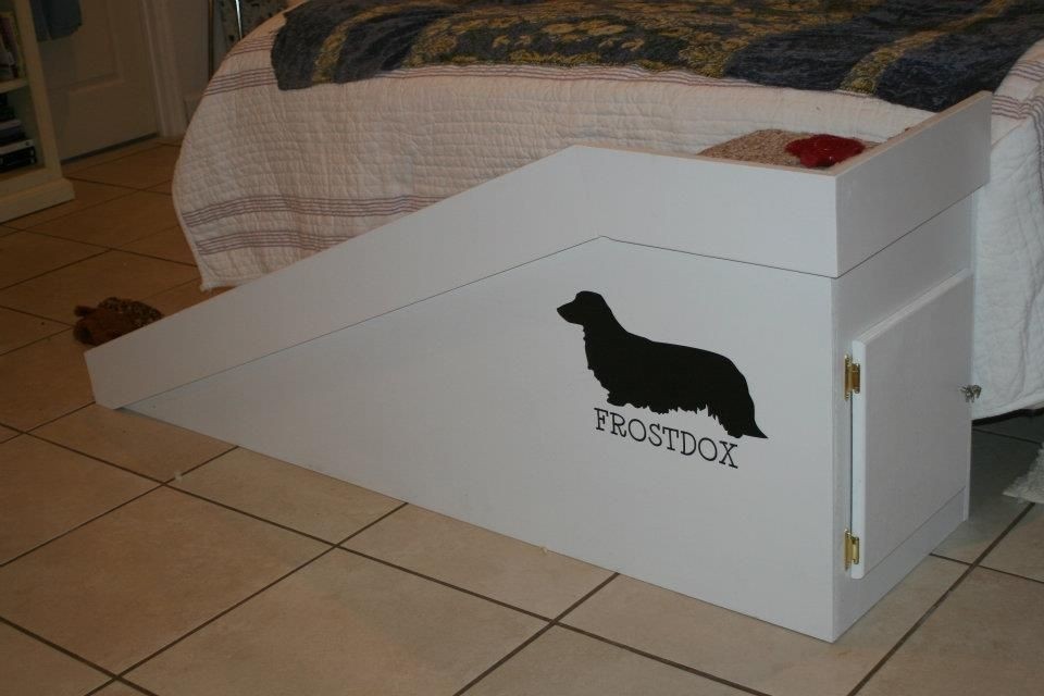 pet ramp with side rails