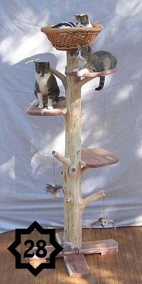 Cat Tree Furniture - Foter