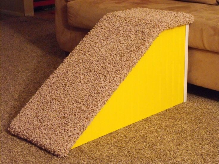 How to build a dog ramp for car