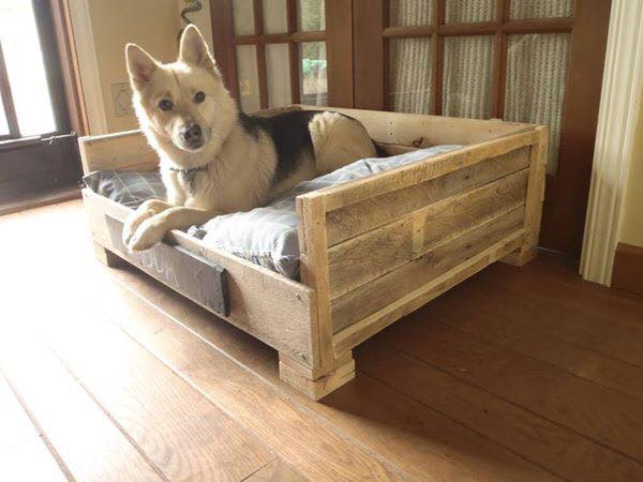 dog house bed