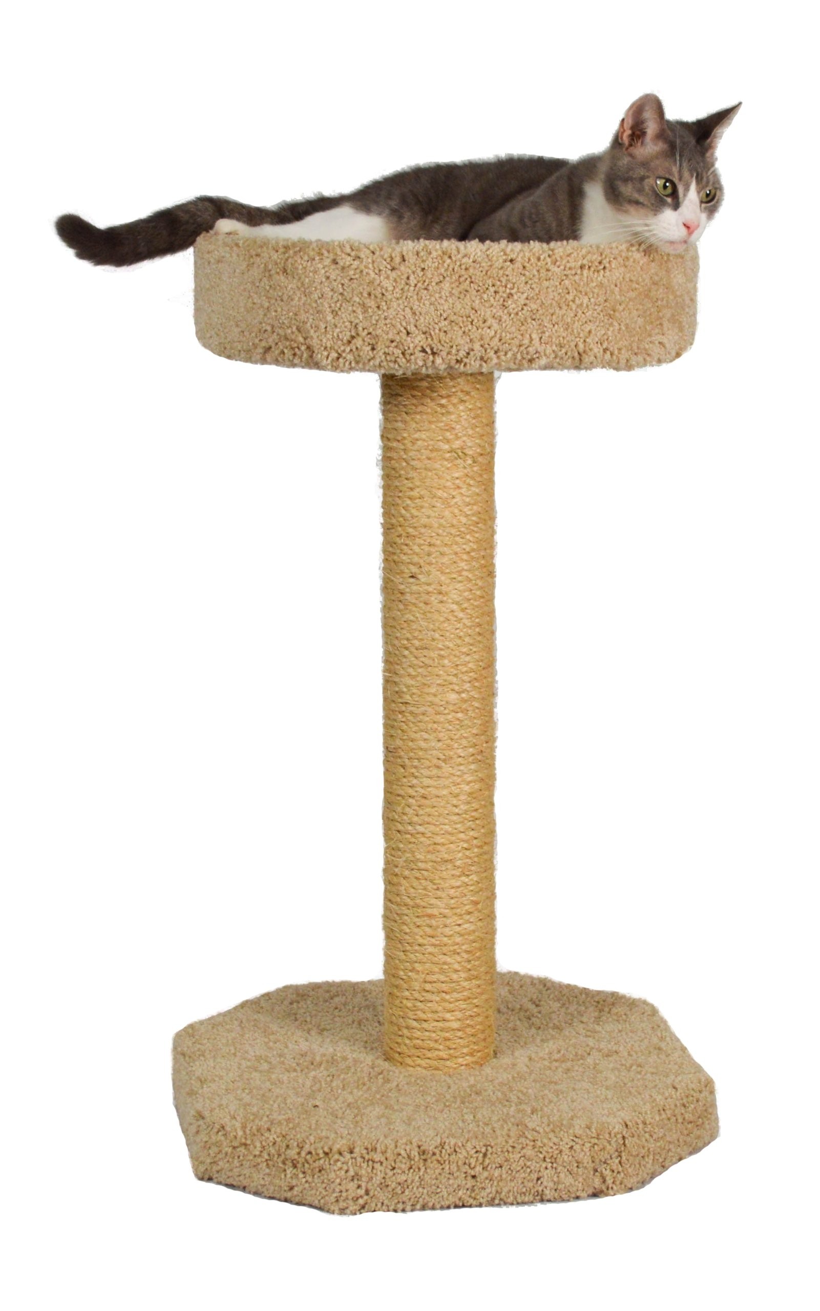 Molly and Friends "Feline Recliner" Premium Handmade One Tier Sisal Cat Scratching Post Furniture with Bed, Model Scr/b, Beige