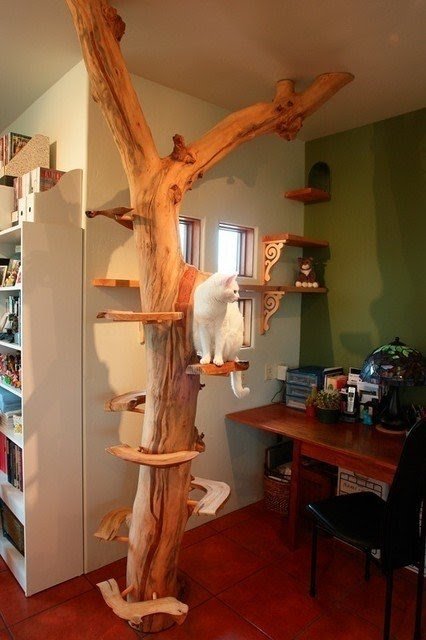 Large Cat Tree Furniture Cat Condos - Ideas on Foter