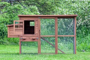  Chicken Coop Free Shipping - Foter