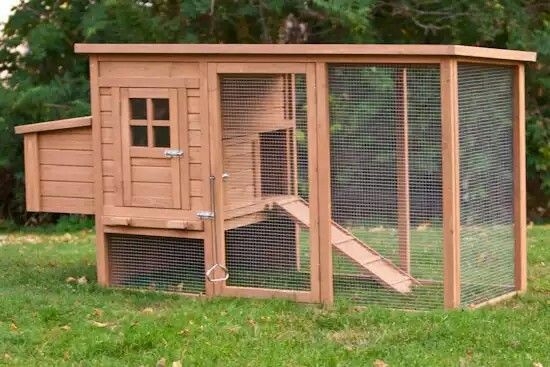 Chicken coops for sale mn