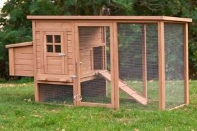 Chicken Coops And Runs For Sale Ideas On Foter