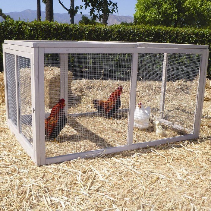 Chicken house for sale 4