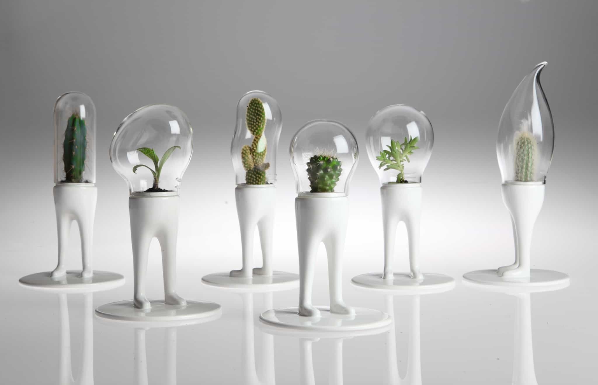 Contemporary plant stands