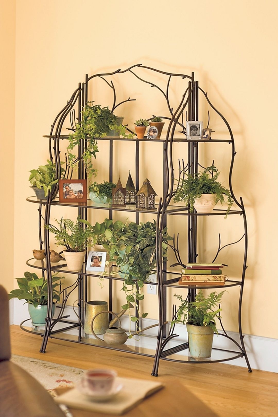Indoor Plant Stand Ideas to Elevate your Home's Decor