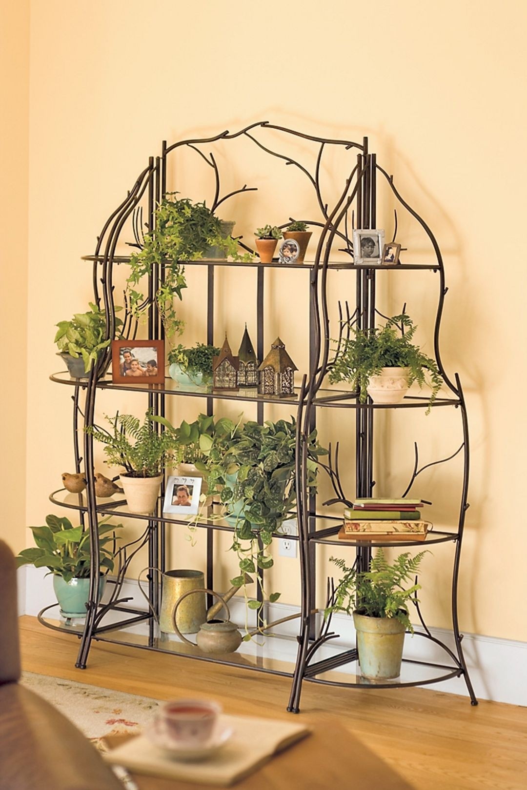 Indoor Tiered Plant Stand - Foter