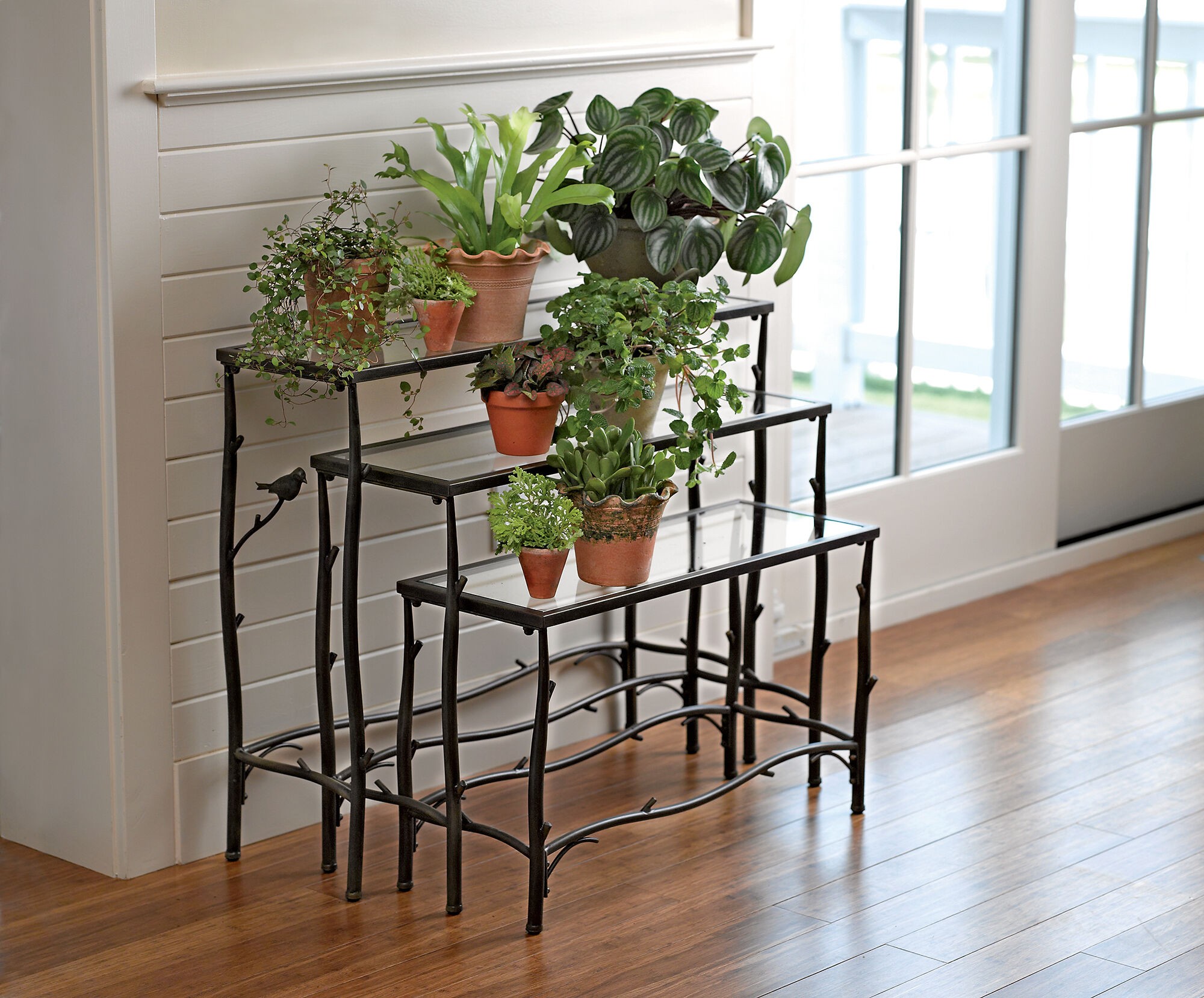 Indoor plant shelves