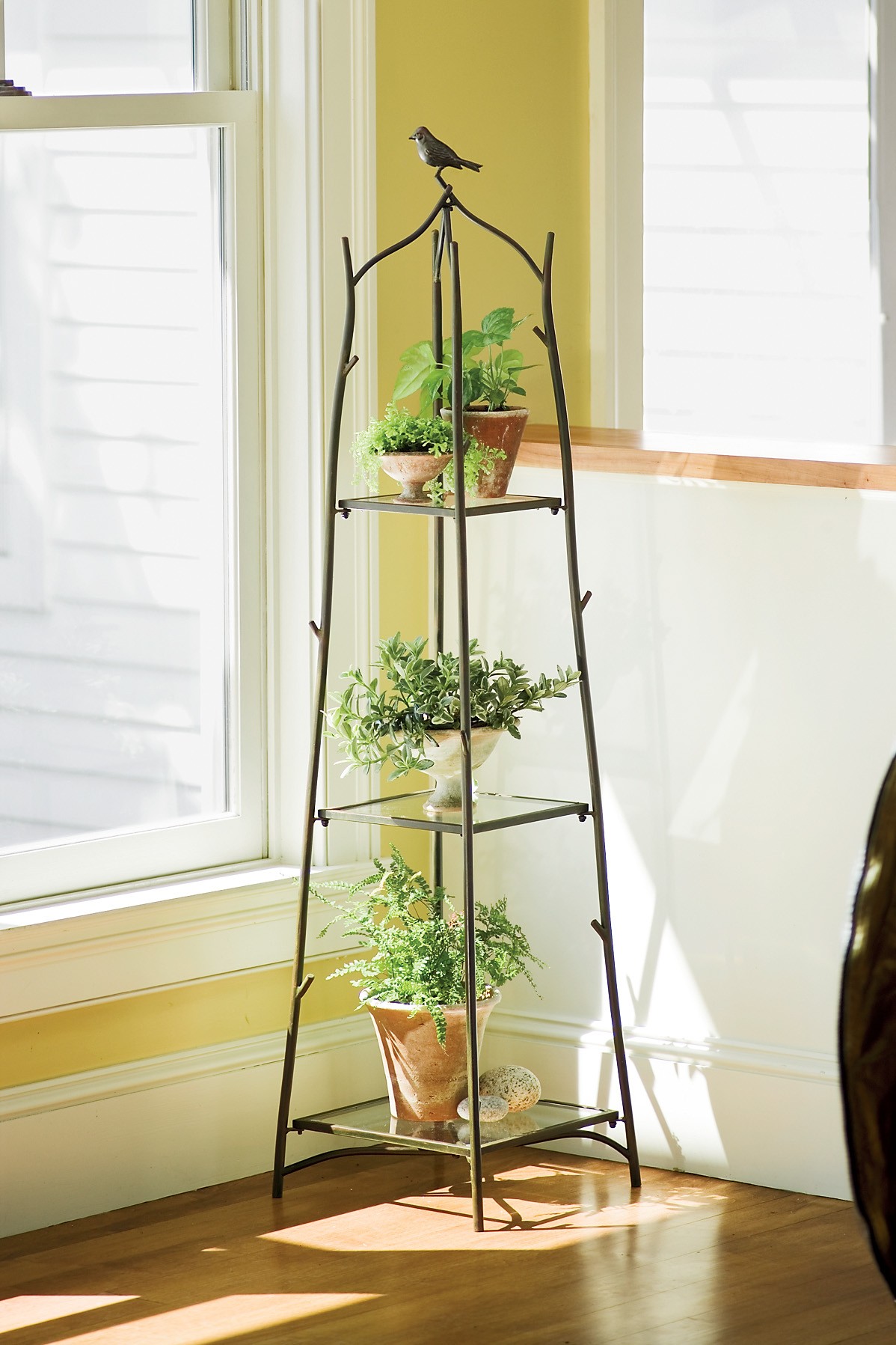 Tier plant stand