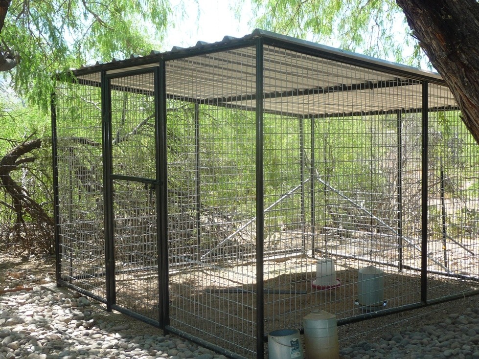 Aviaries for sale 2