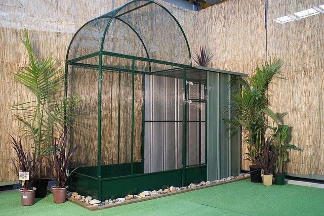 Bird Aviaries For Sale Foter   Aviaries For Sale 