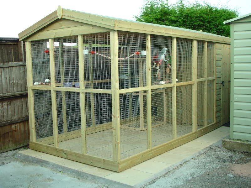 Bird Aviaries For Sale Foter   Aviary For Sale 