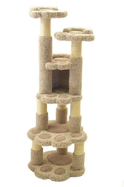 Cat condos for large cats