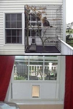 large cat kennel