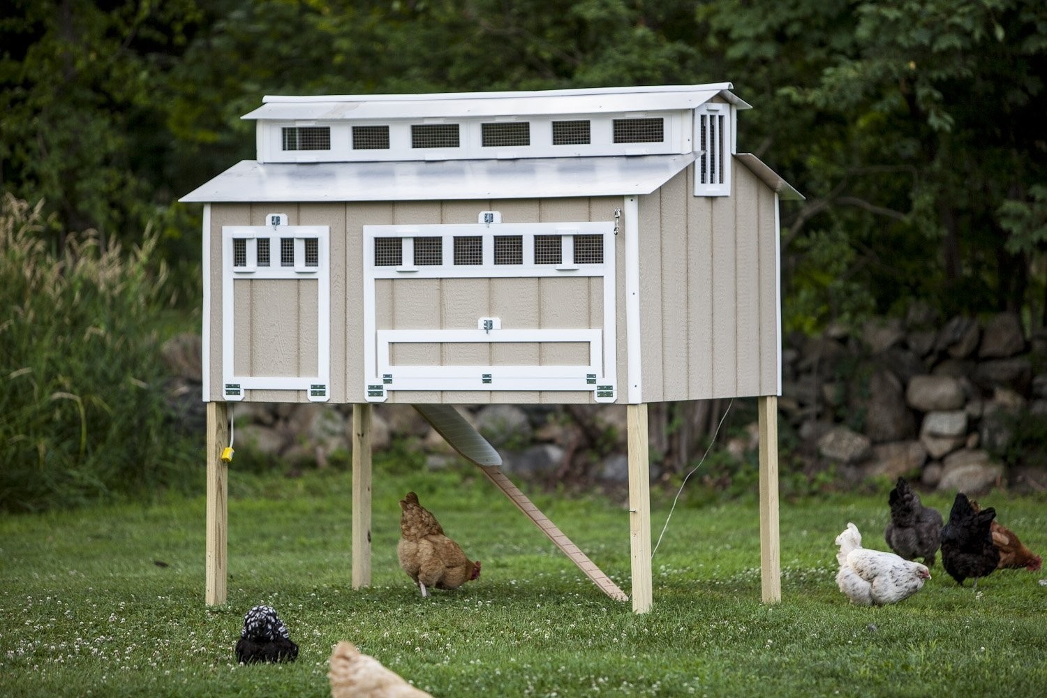 Cheap chicken coop for sale