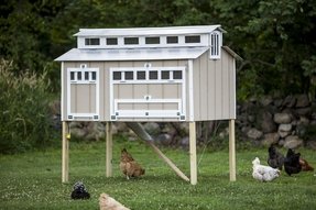 Chicken Coop Kits Sale - Foter