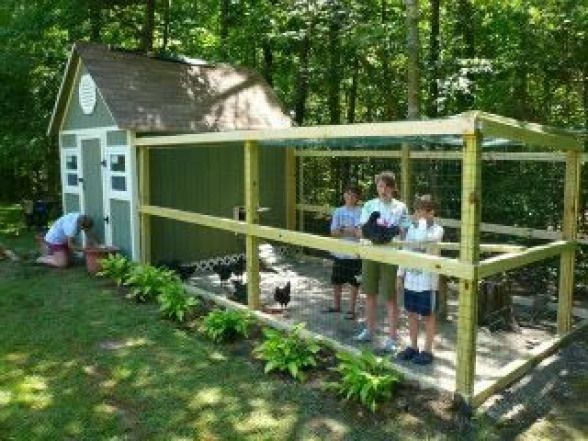 Chicken Coop For 8 Chickens Ideas On Foter