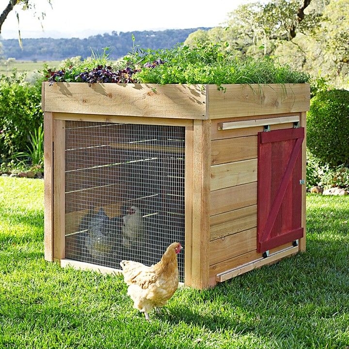 Chickens houses for sale