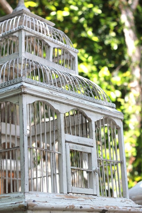 Corner bird cage 25