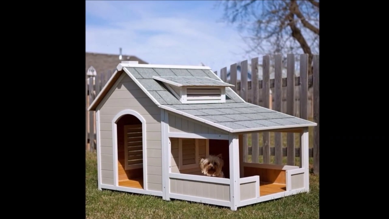 dog house with deck